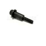 Bolt Camshaft Chain And Auxiliary Chain Guide Genuine