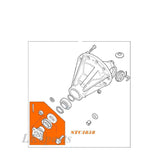 DIFFERENTIAL PINION FLANGE KIT