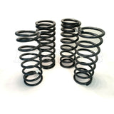 Medium Duty Coil Spring Kit