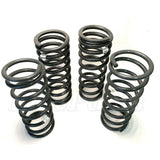 Medium Duty Coil Spring Kit