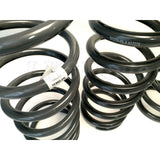 Medium Duty Coil Spring Kit