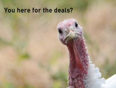 Thanksgiving Week Sale 2025