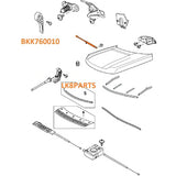 Hood & Tailgate Strut Kit