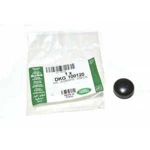 WIPER SPINDLE ARM CAP