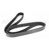 Diesel  PRIMARY BELT