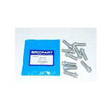 TYG100570 Flanged Hex Bolts OEM Set of 10 fits Freelander 1