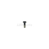 Pan Head Torx Bolt M10 x 30