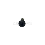 Pan Head Torx Bolt M10 x 30