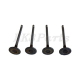 Engine Inlet Valve