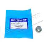 Transmission Fill Plug OE