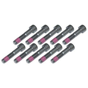 Replacement Drive Flange Bolt Set of 10