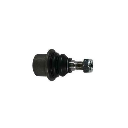 Lower Front Suspension Ball Joint Delphi