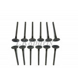 ENGINE EXHAUST VALVE SET x12