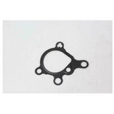 Fuel Pump Gasket