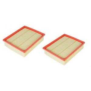 Air Cleaner Filter Set of 2