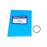 O-Ring For Battery Cover In Key Fob