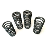 Heavy Load Coil Spring Kit Terrafirma TF052 TF027V New