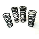 Heavy Load Coil Spring Kit Terrafirma TF052 TF027V New