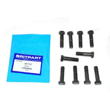 Output Flange Transfer case  Bolts Set of 10