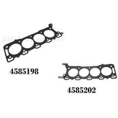 Newest Products