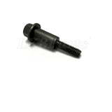 Bolt Camshaft Chain And Auxiliary Chain Guide Genuine