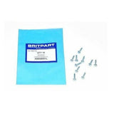 Screw Black Self Tapping