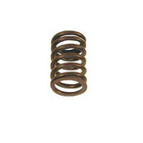 Valve Spring