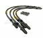 Terrafirma Goodridge +2" Extended Brake Hose Kit